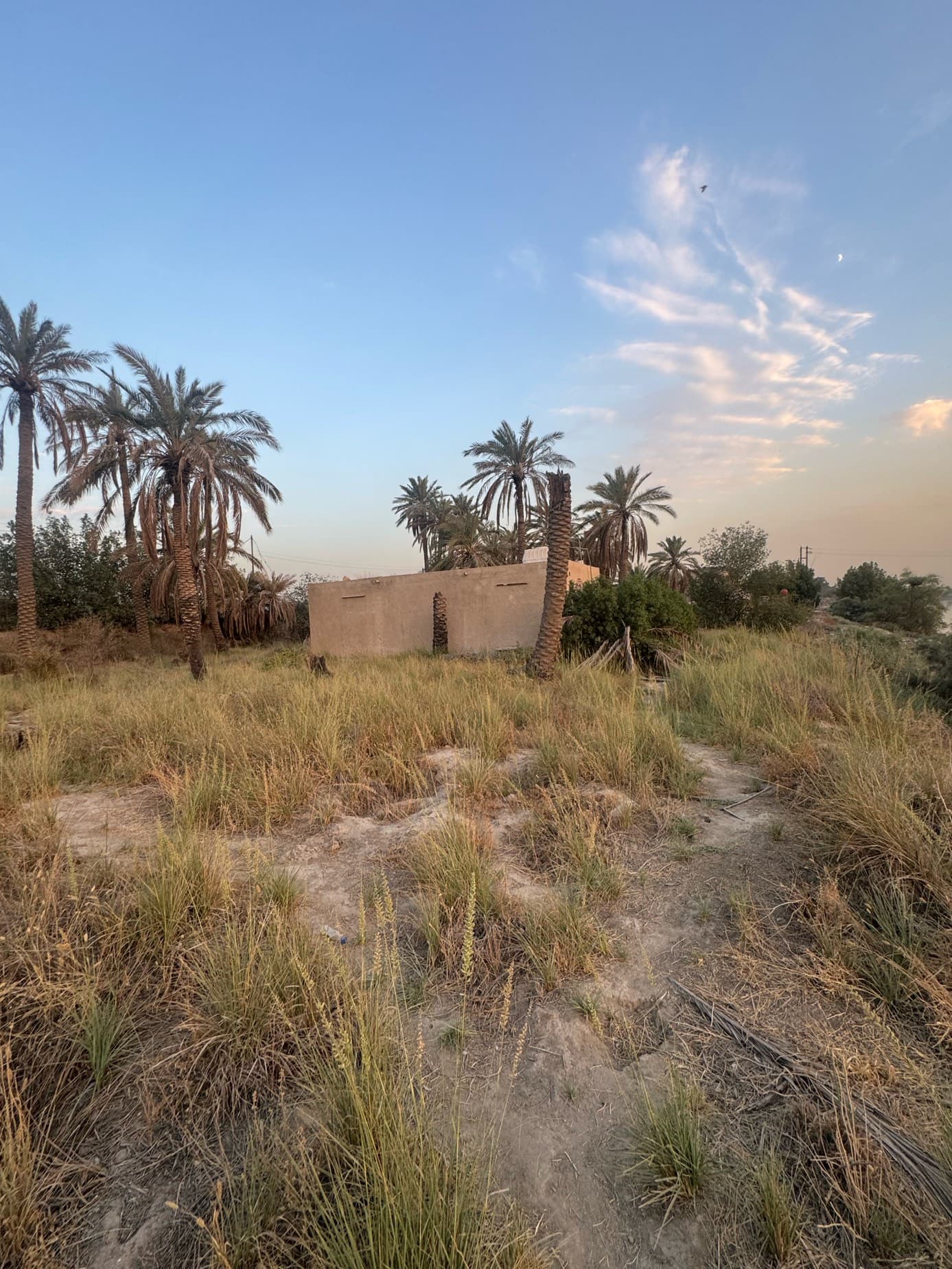 بستان للبيع طابو ملك صرف مساحته دونمين واقع حال ( دونم بالسند) البستان مطل على نهر ويحتوي على بيت صغيرسعر البيع  ب 425 مليون دينارمكانه في جسر ديالى ( الكرغولية)للاستفسار والشراء يراسل خاص  - 5