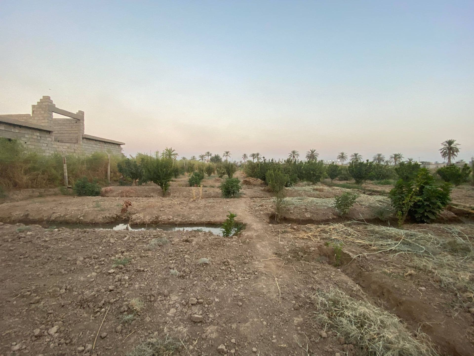 بستان زراعية للبيع