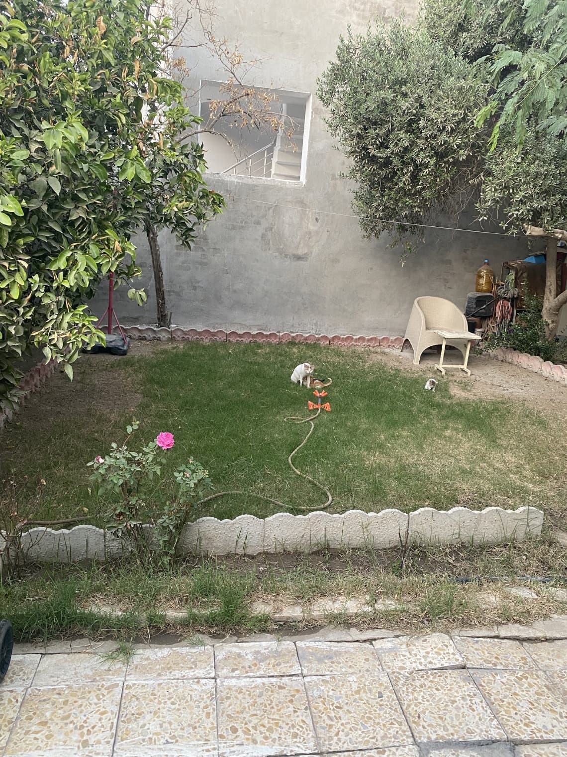 دار في حي تونس - Thumbnail 2