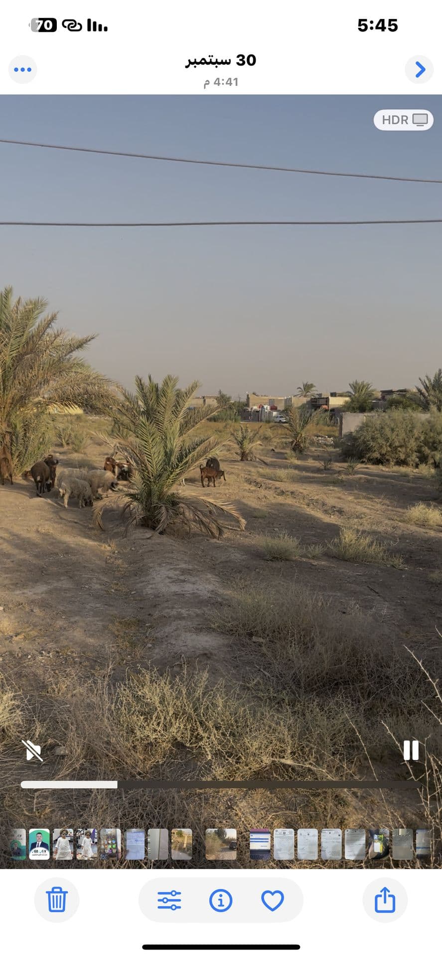 دوانم زراعي  - Thumbnail 2