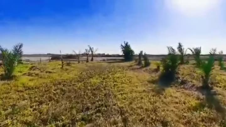 بستان للبيع