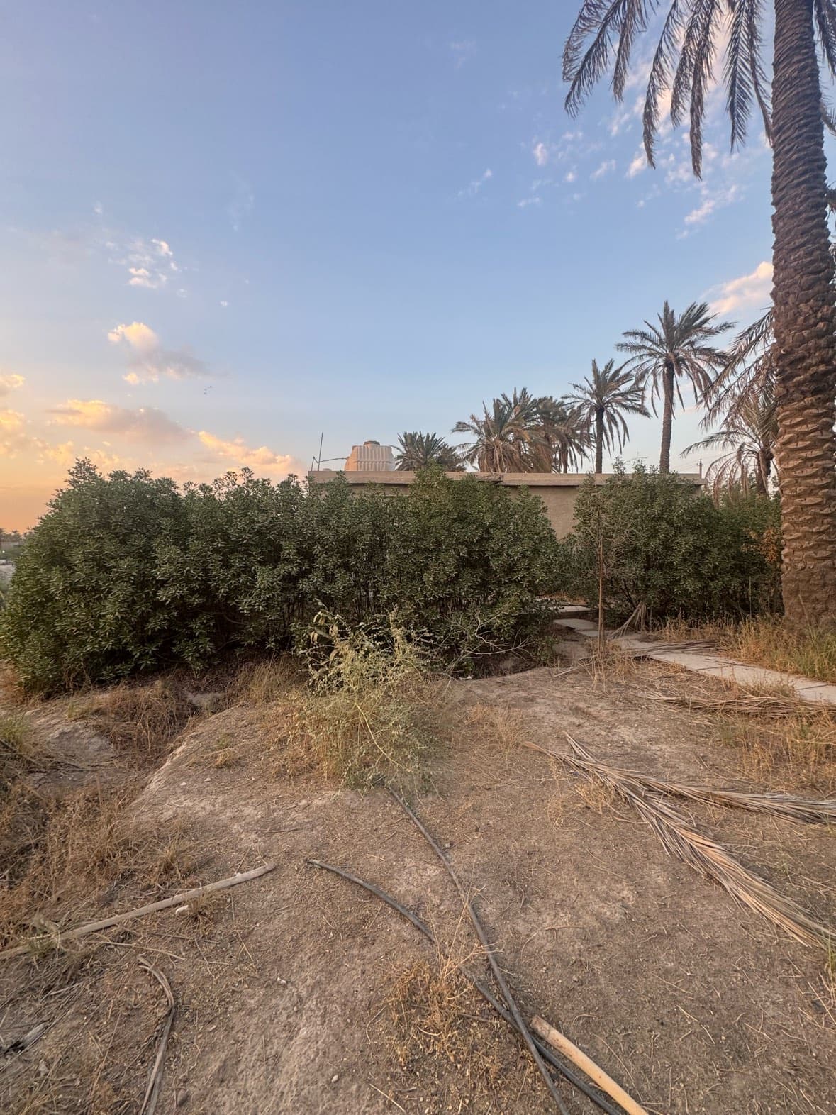 بستان للبيع طابو ملك صرف مساحته دونمين واقع حال ( دونم بالسند) البستان مطل على نهر ويحتوي على بيت صغيرسعر البيع  ب 425 مليون دينارمكانه في جسر ديالى ( الكرغولية)للاستفسار والشراء يراسل خاص 