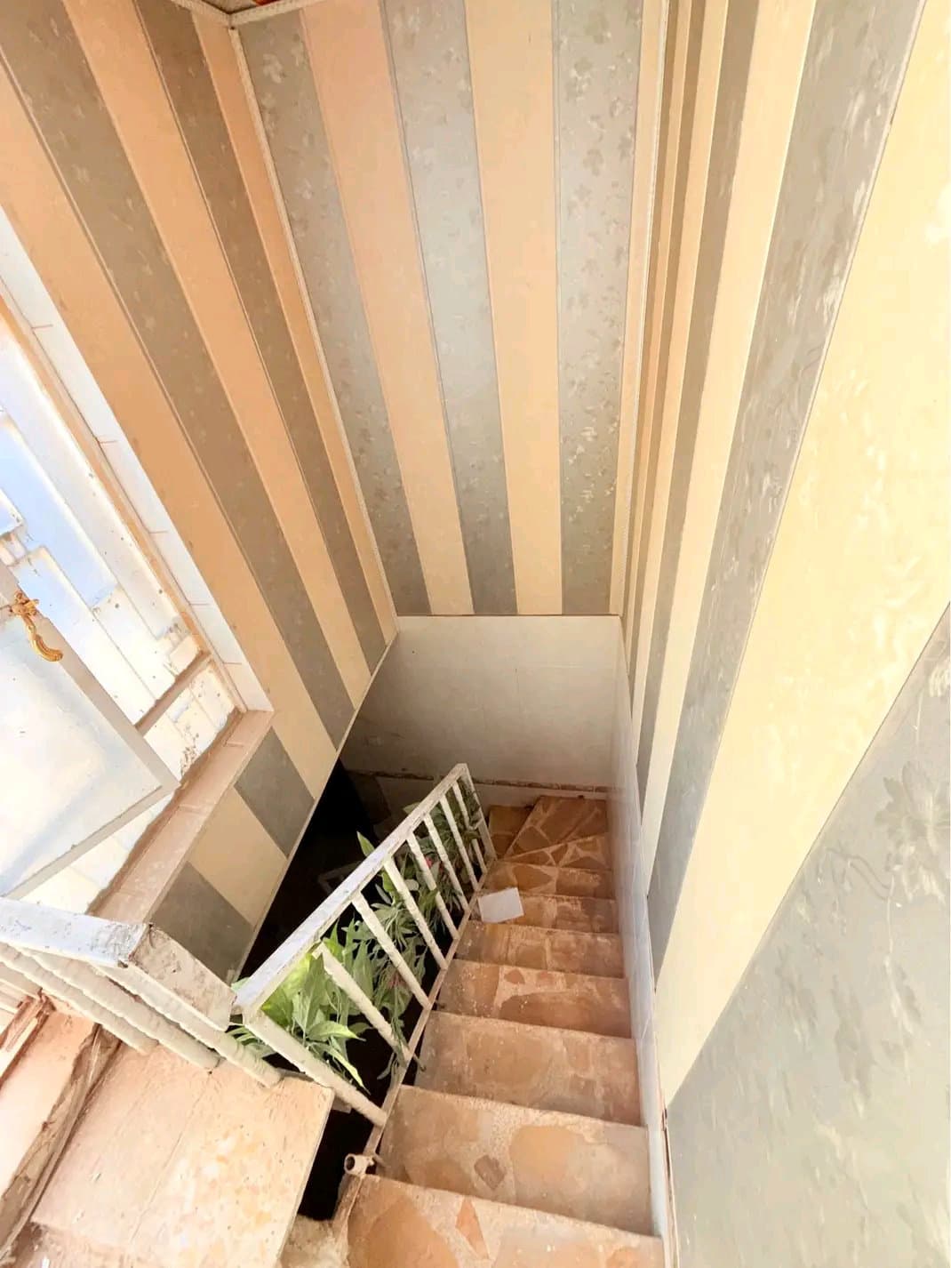 دار للايجار  - Thumbnail 6