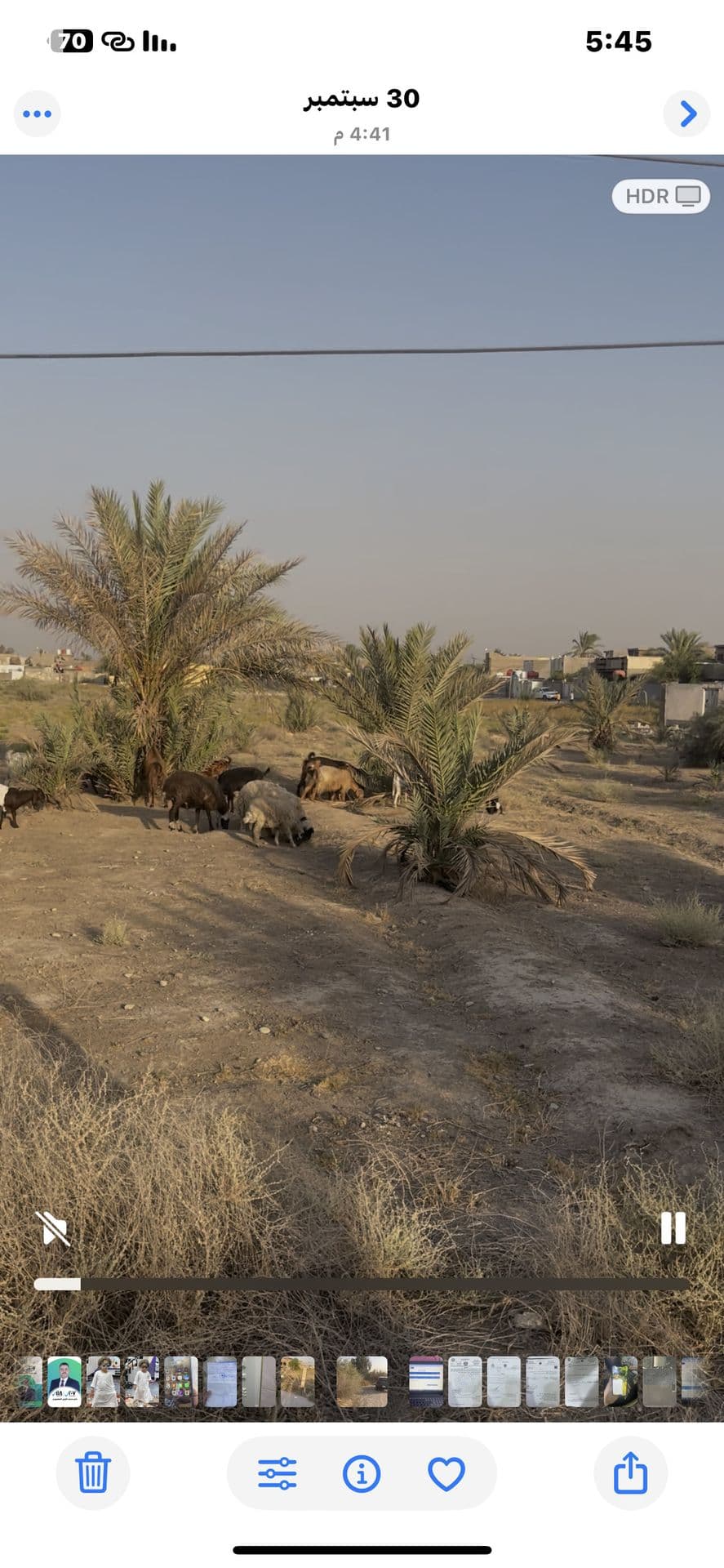 دوانم زراعي  - Image 1