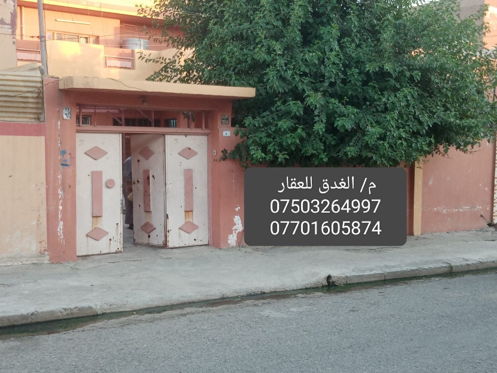 سليمان مرعي. فهيمه للبيع