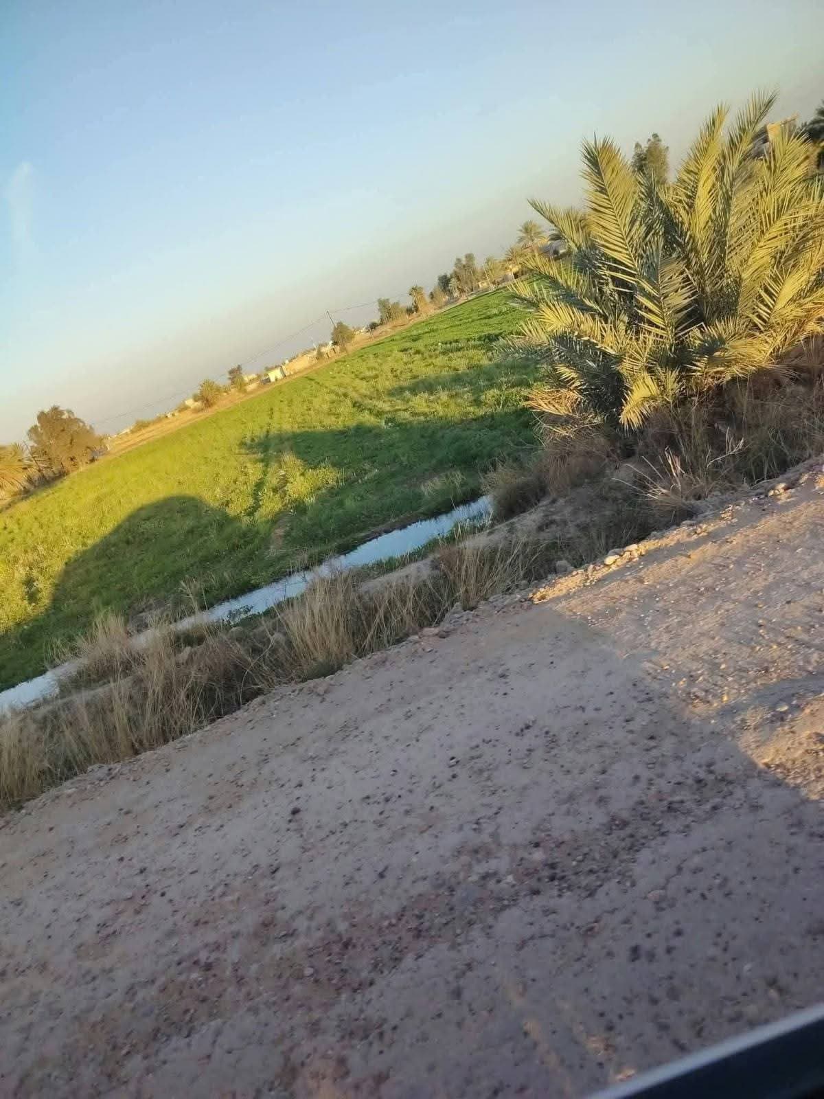 مكتب الجوهره  - 4