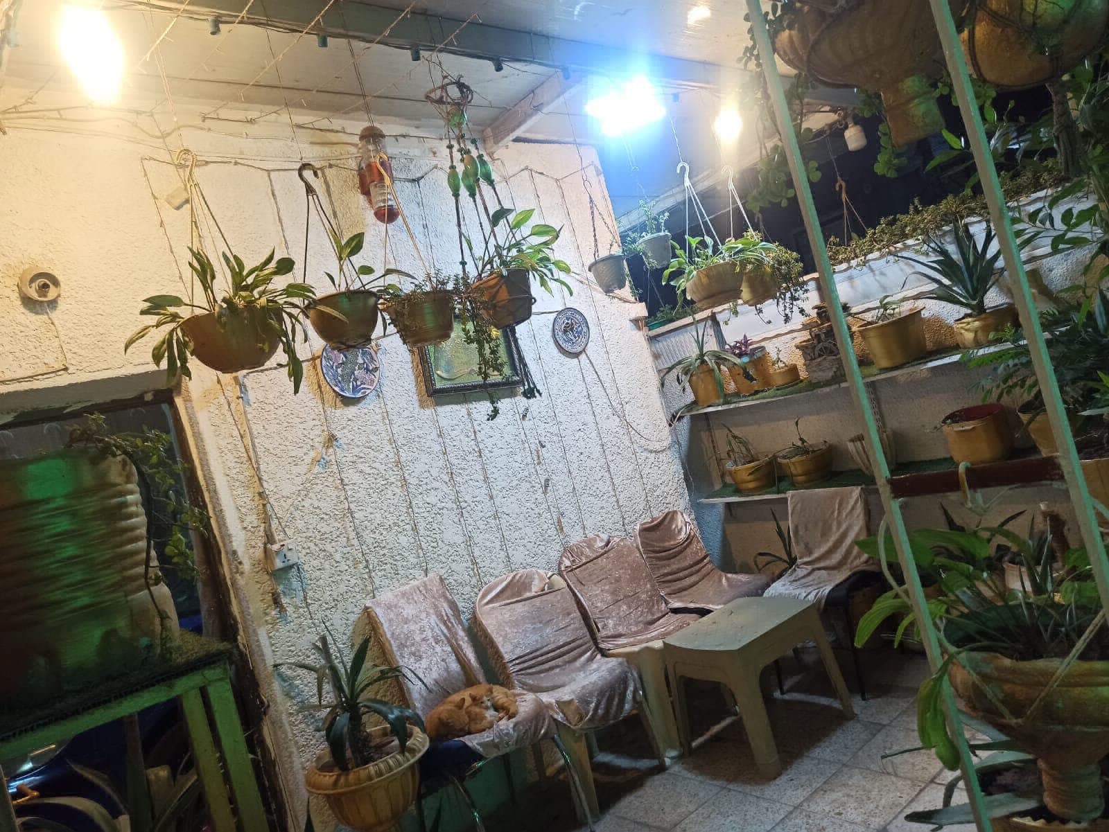 بيت للبيع مساحه 200متر الواجهه 10 والنزال20 العنوان حي الجهاد منطقه الخارجيه  - Thumbnail 4