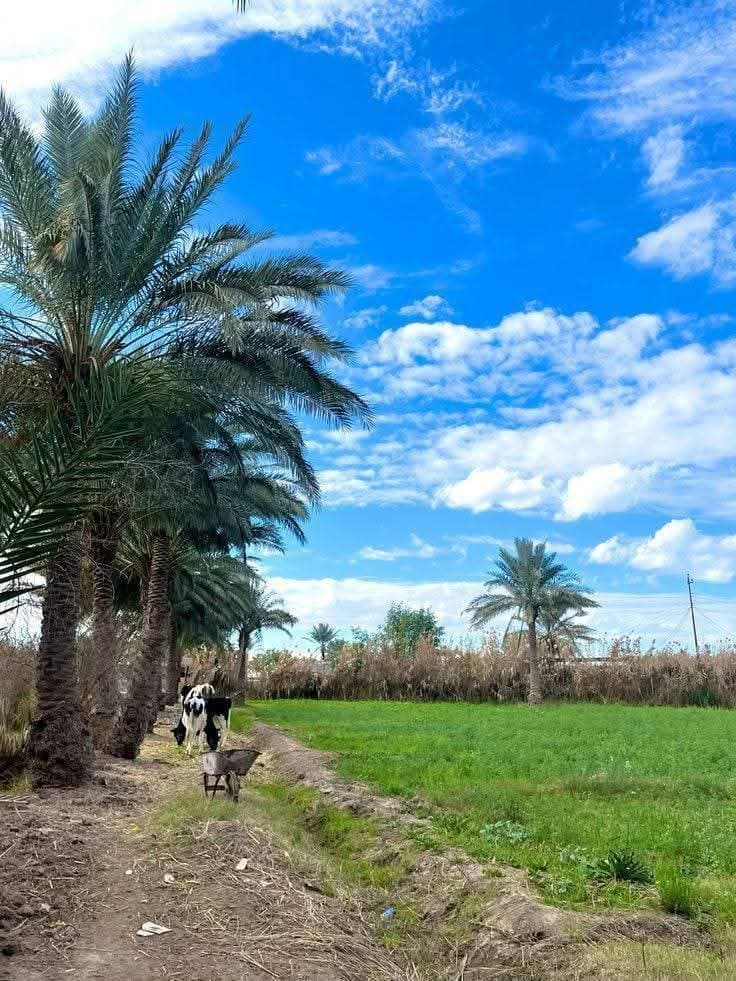 مكتب الجوهره  - 3