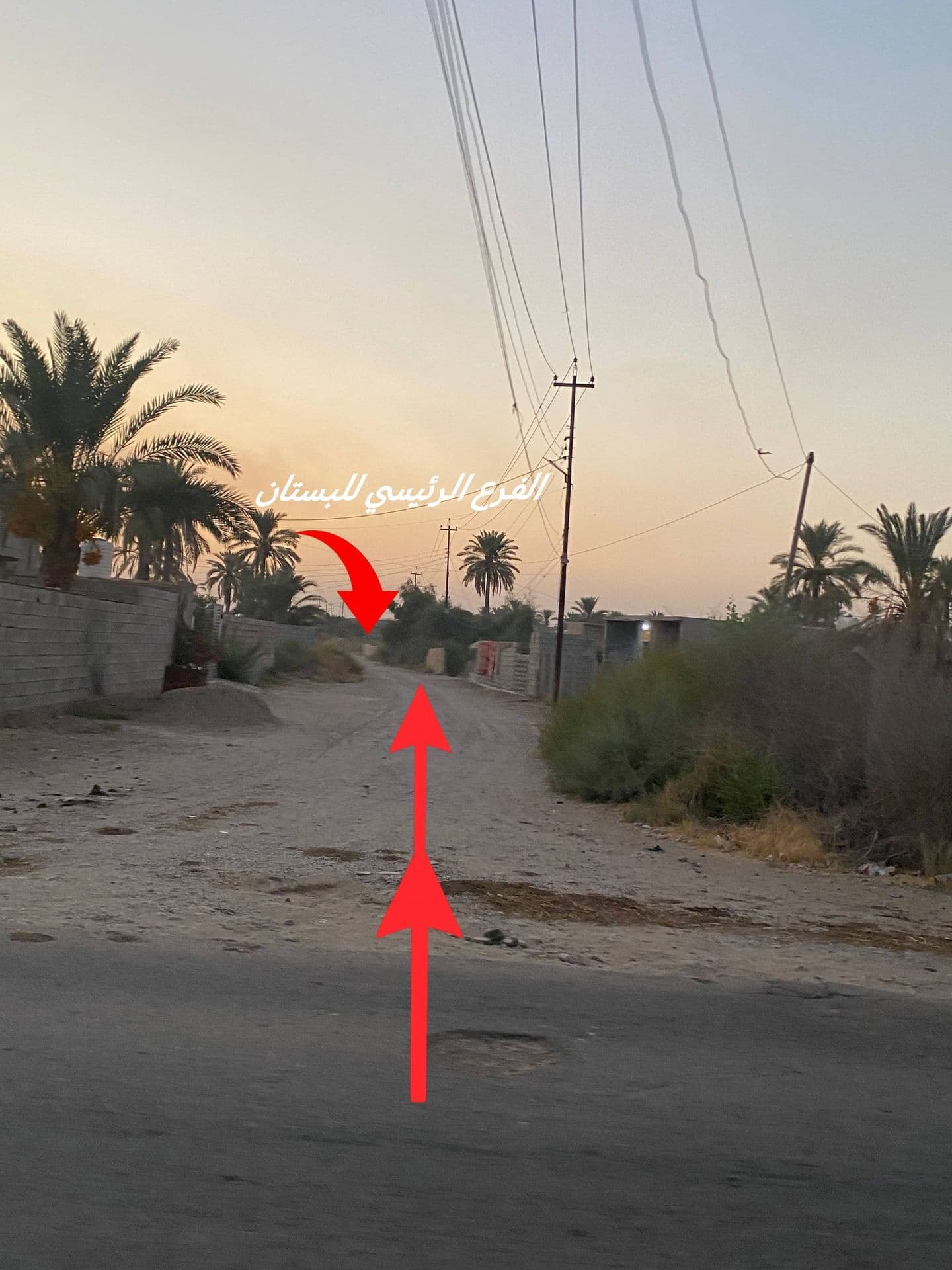 بستان زراعية للبيع - 4