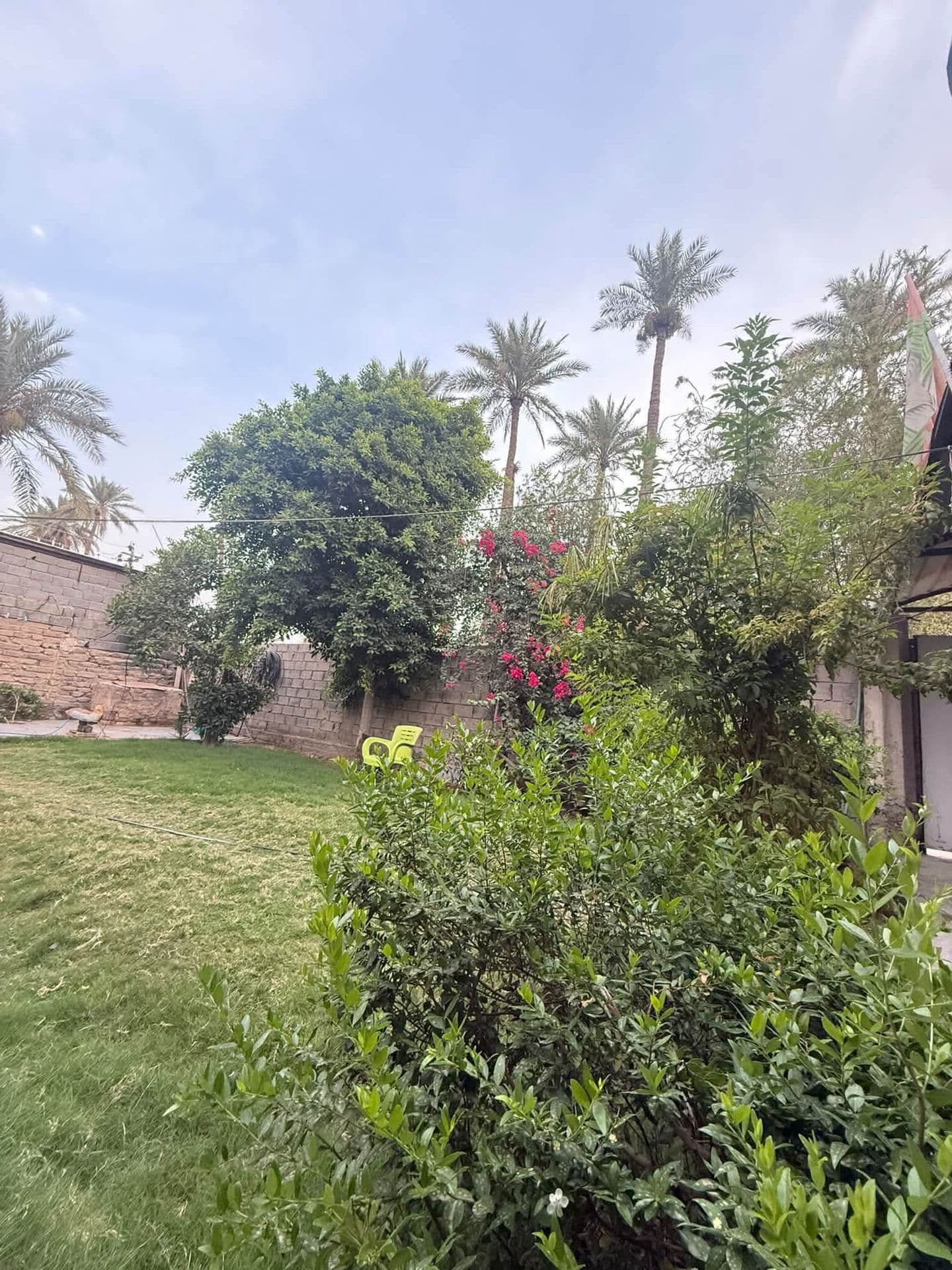 دار  - 3