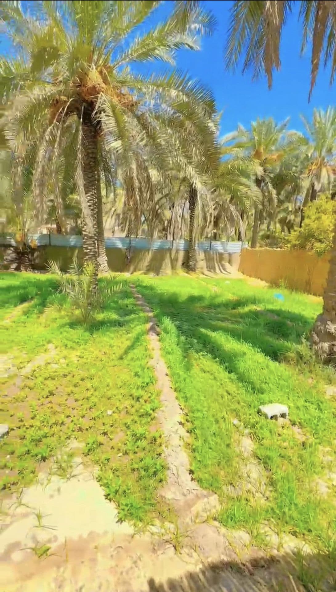 يبعد عن الشارع 50متر - 2