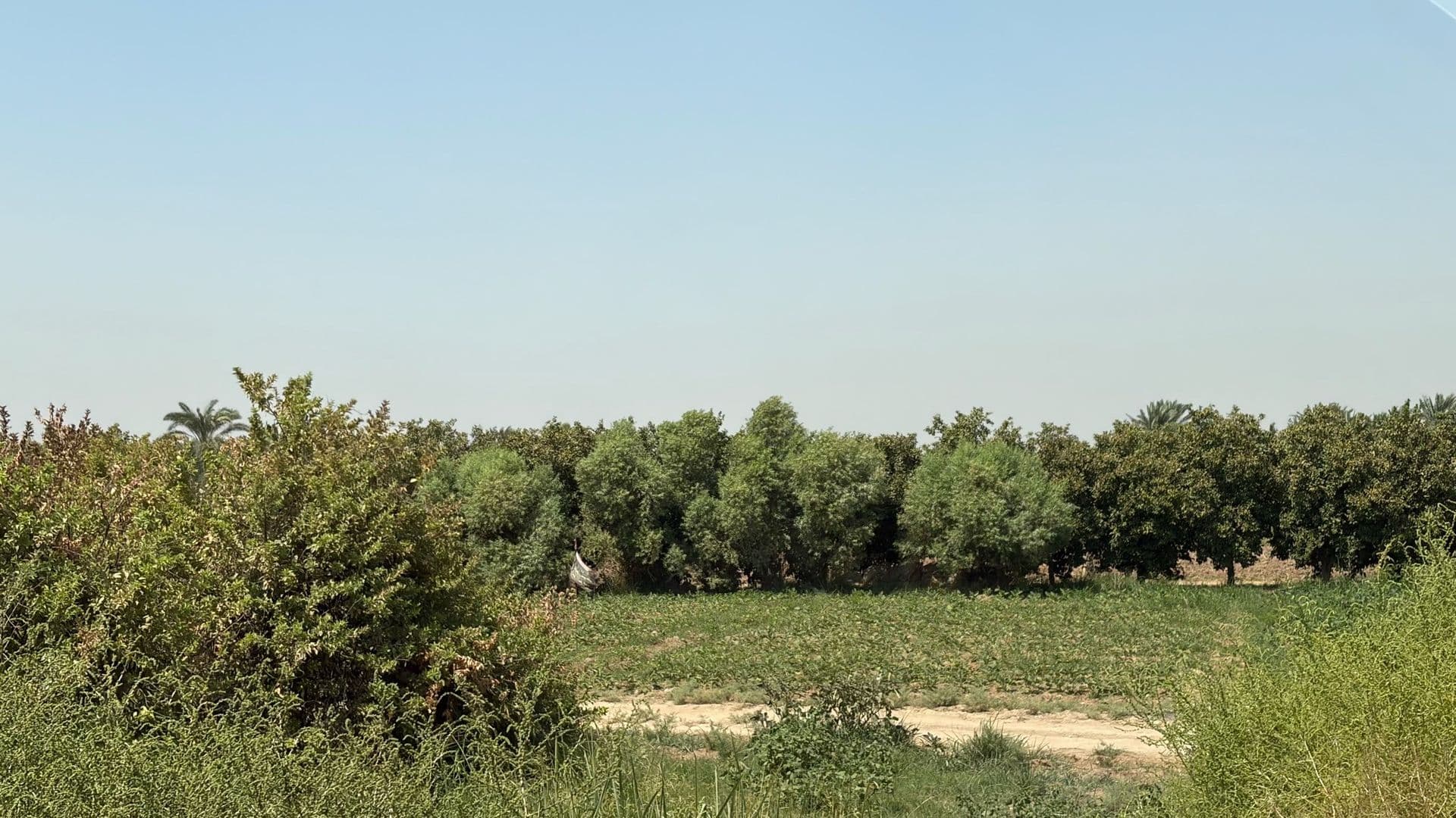 الصويرة - الديوانية الغربية - 3