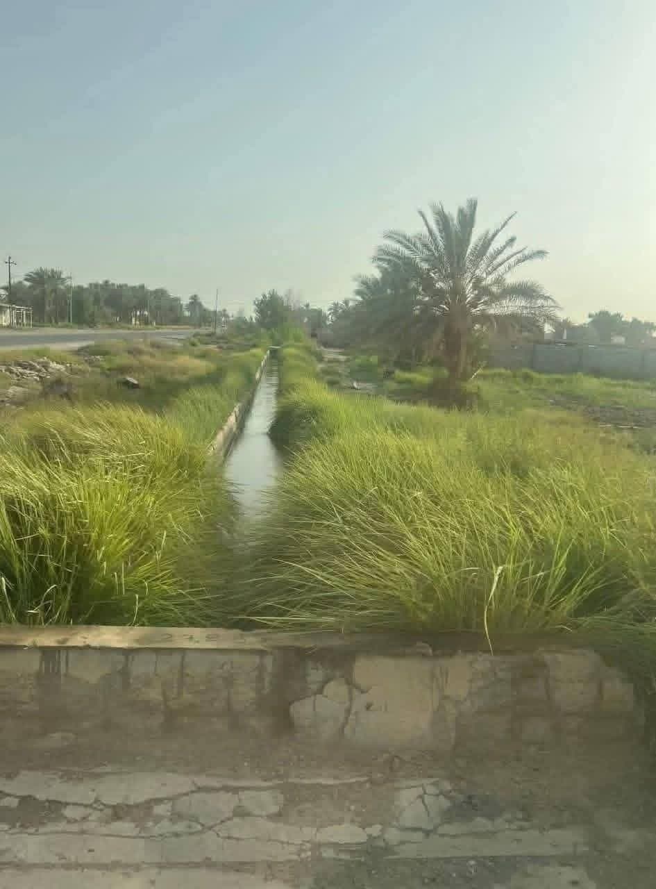 مكتب الجوهره  - 2