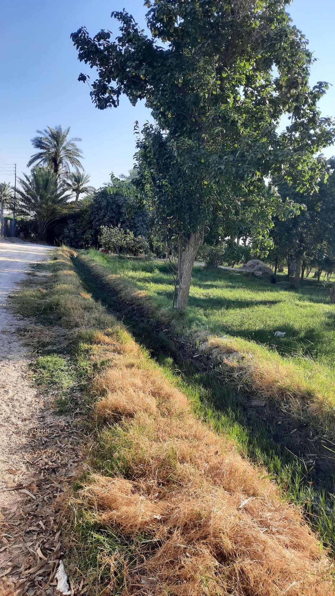 بستان - 3