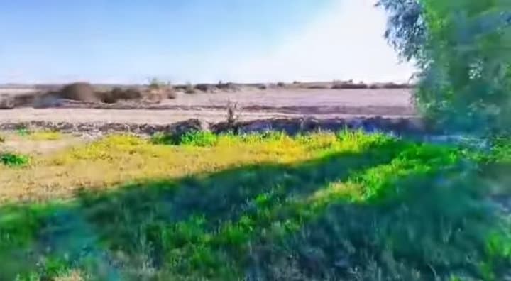 بستان للبيع - 3