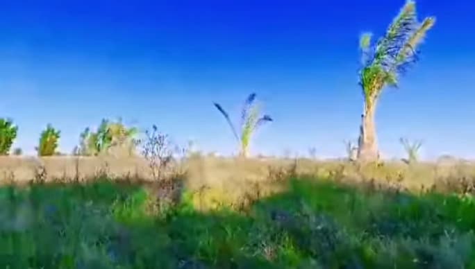 بستان للبيع - Thumbnail 2