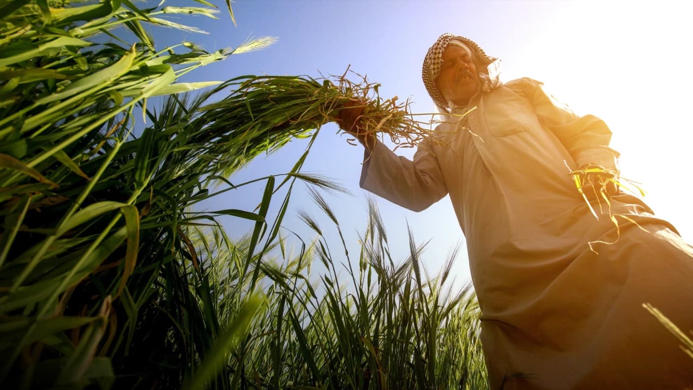 Baghdad Municipality Begins 20-Year Installment Ownership Plan for Agricultural Lands